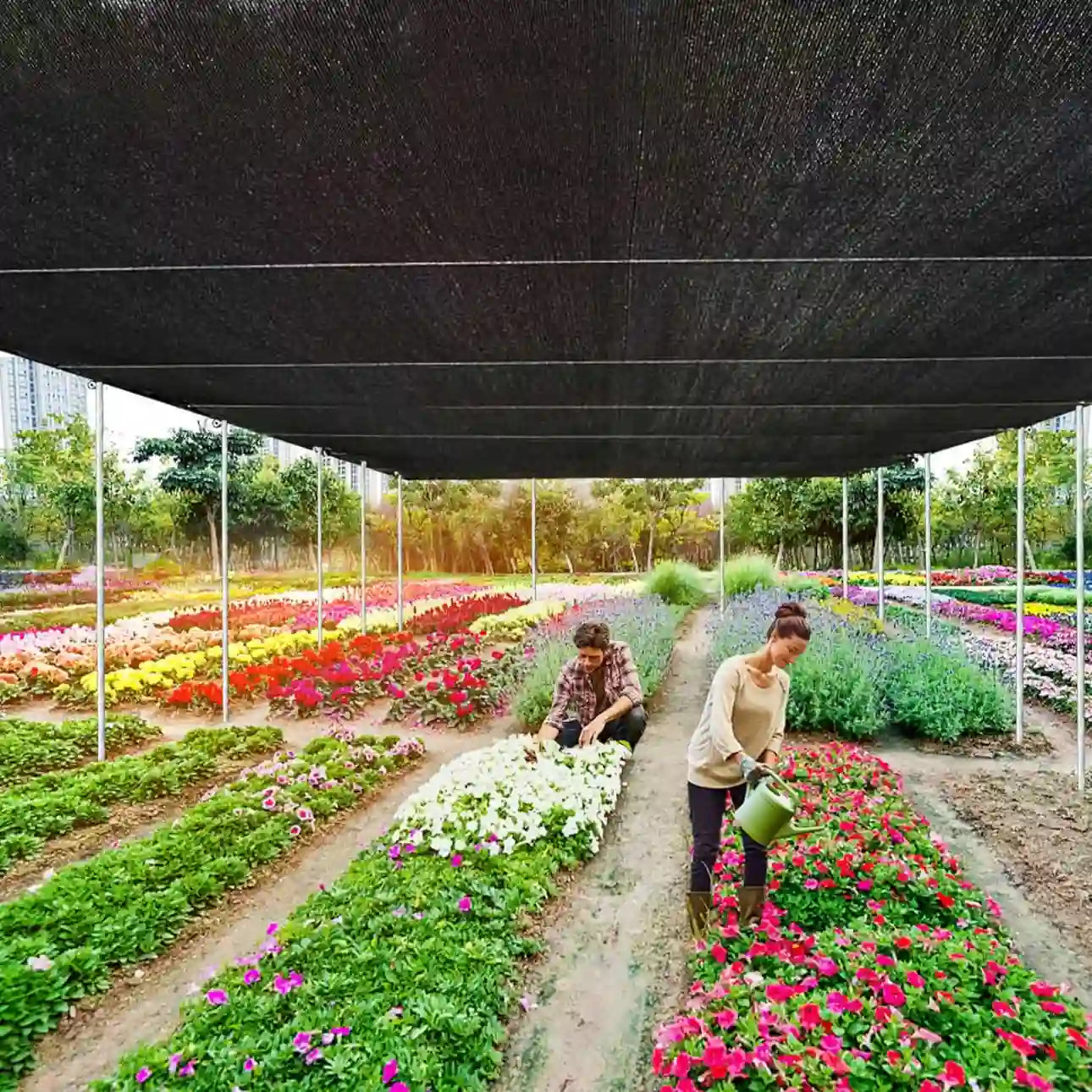 🐻⏰Last day Promotion 🔥Heavy Duty Sunblock Shade Cloth